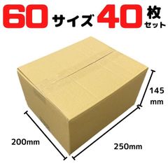 お得な40枚セット ダンボール 段ボール 60サイズ 250×200×145mm 梱包 発送 包装資材 みかん箱 引っ越し