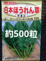 未開封＜野菜の種＞約500粒　日本ほうれん草　25ｍｌ　ホウレンソウ