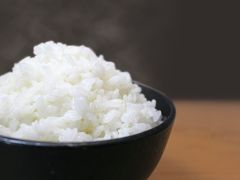 離乳食にオススメ！完全無農薬米2合パック【R5年産さがびより】