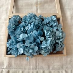 プリザーブドフラワー セイヨウアジサイ 約20g (くすみブルー) OC 未使用品 紫陽花 ヘッド