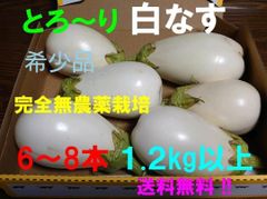 トロ～り 白なす 白茄子 白ナス　1.2kg以上 6～8本　農薬不使用