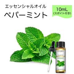 ペパーミント Mentha plperita スポイト付 10ml EUQEE 高品質 PREMIUM GRADE ハーブ 香草