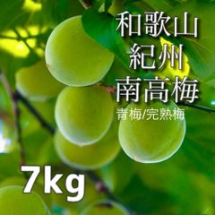 【家庭用】南高梅 7kg 大粒 青梅/完熟梅 和歌山 紀州南高梅