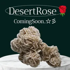 砂漠のバラ🌹【希少結晶】【一点モノ】