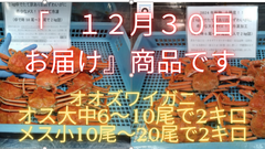 【12月30日お届け】オス大中6尾から10尾前後入とメス小10尾から20尾前後入で各2.0㎏で計4キロ