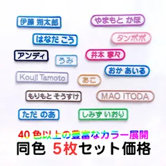 【5枚セット・選べるカラー】名入れお名前ワッペン・ネームタグ・お名前シール・オーダー刺繍：シンプル横長