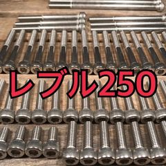 ステンレス製 レブル250 前期 MC49 左右エンジンカバーボルト 合計30本