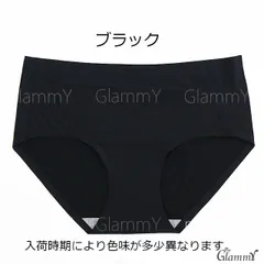 2枚組 【普通郵便で発送】 シームレスショーツ アンダーショーツ 単品 大きいサイズ 水着別売 ノーマル レディース インナーショーツ 体型カバー フィットネス 透け防止 水着通販 ビキニ別売 水陸両用 女性 /i-u-0076