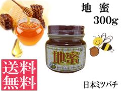 地蜜(日本ミツバチ)300g 非加熱 生はちみつ 国産 純粋 送料無料