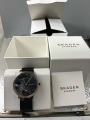 2024年最新】スカーゲン SKAGEN クオーツ メンズ 腕時計 SKW6395