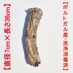 2025年最新】コルク樹皮 キャノンの人気アイテム - メルカリ