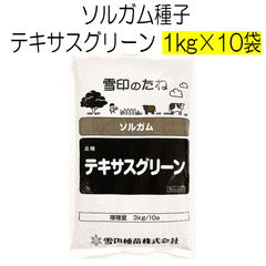 ソルガム種子　品種名：テキサスグリーン　10kg（1kg×10袋）雪印種苗