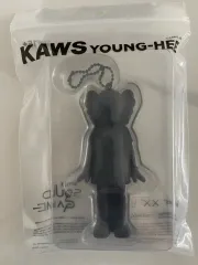 注文 限定版 限定盤 期間限定 KAWS X イカゲーム YOUNG ー HEE