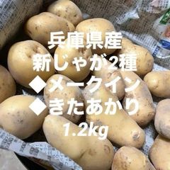 令和6年産 兵庫県 丹波篠山産【大納言小豆】1.5㎏（300g×5袋
