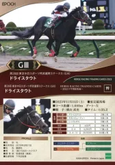 タスティエーラ　Dレーン　世界限定　ホースレーシングカード　専用台座付　完売品 タスティエーラ Dレーン 世界限定 ホースレーシングカード 専用台座付