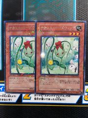 🔥1点のみ限定🔥捕食植物デッキ まとめ売り✨二重スリーブ - メルカリ