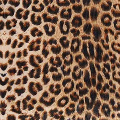 moonfarm ヒョウ 柄 ベロア 生地 動物 レオパード 約幅1.5m 裁断済み 1way(ヒョウ,  3m)