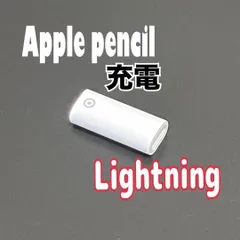 Apple Pencil 充電アダプター Lightning第1世代 メス