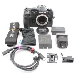 ショット数230回。★美品★ OLYMPUS オリンパス OM SYSTEM OM-1 ボディ