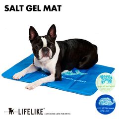 【ソルトジェルマット】犬 マット 冷感グッズ 暑さ対策 ペット用 犬用 ベッド マット 塩 ソルト 冷感 ペット用品 犬 グッズ  春夏 春用 夏用 春夏用 おしゃれ 冷たい クールマット かわいい LIFELIKE