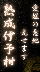 【伊予柑】毎年大好評！愛媛県産宮内伊予柑　サイズ混合　※2023年12月下旬〜収穫後に発送※ 家庭用10Kg箱 先着100箱ムッキーちゃんプレゼント　愛媛柑橘　訳ありみかん　愛媛みかん　農家直送　送料無料　いよかん　農家のおすそわけ