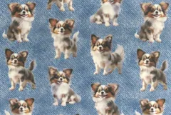 【ゆきちゃん限定】X1622 パピヨン デニム風 ブルー 布 1m