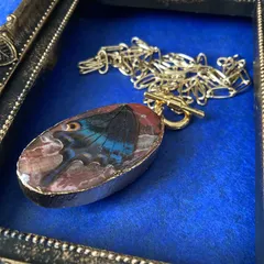 本物の蝶の翅　ミヤマカラスアゲハ　ネックレス　no3