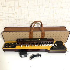 SUZUKI スズキ 電気大正琴 TES-150 山びこ ケース付き - メルカリ