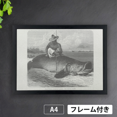 ピラルク（Arapaima gigas）と漁師　1800年代の木版画より　モノクローム　A4 荒い麻布の風合い アートポスター【フレーム付】《AS》★再入荷★