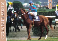 バンダイ競馬メモリアルカードブローアップ版1996年 全27枚 ウマ娘 希少❗️ 2025年最新】サラブレッドカードの商品一覧 | トレーディング