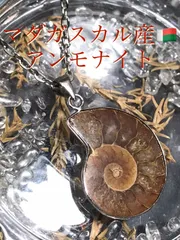 2025年最新】天然 アンモナイト ペンダントの人気アイテム