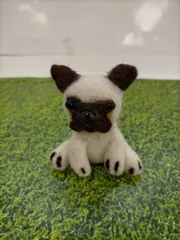 HAY1-015　羊毛フェルト　パグ犬　動物　マスコット　オートメント　インテリア