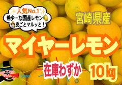 【限定❣️先着2名様】マイヤーレモン10㎏/レモン　国産レモン　みかん　きんかん