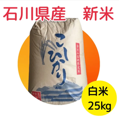 【農家直送】石川県産 令和4年9月収穫 新米 こしひかり 白米 25kg