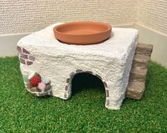 爬虫類　シェルター　階段