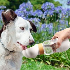 Item thumbnail for item b35c190b-3902-4562-86d6-d0c312977217