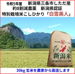 2024年最新】お米 新潟 コシヒカリ 3 kgの人気アイテム - メルカリ