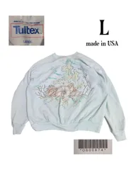 Tultexタルテックス USA製古着プリントスウェットトレーナーL水色ラグラン