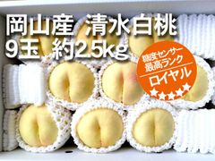 【冷蔵便】岡山産　最高級ランク　ロイヤル　おかやま夢白桃　8玉～11玉1箱　発送：8月上旬～
