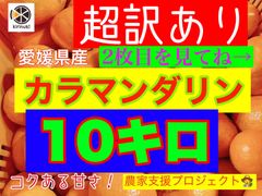 【超訳あり】カラマンダリン10キロ