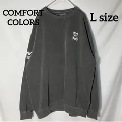 【COMFORT COLORS】L オーバーサイズ　袖ロゴ　ワンポイント　王冠　pit9 トレーナー　グレー　US古着のサムネイル