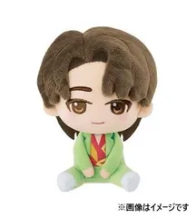 バンダイ BANDAI 一番くじ PetitEEN from SEVENTEEN PERFORMANCE TEAM ぬいぐるみ賞 ディエイト THE 8 未使用 2508LR185