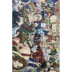 【希少本】FAIRYTAIL フェアリーテイル フルカラー 最終話 かけがえのない仲間たち