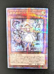 遊戯王 白き森のリゼット INFO-JP014 QCSE 25th クオシク クォーター センチュリー