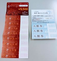 仙川湯けむりの里　入館券3枚　岩盤浴8枚　セット