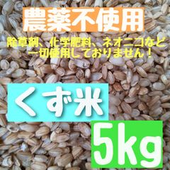 新米【令和6年】農薬不使用 くず米 小米  玄米