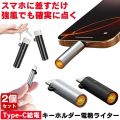 2個セット 電子ライター usbライター 電子 ライター 電気 Type-C コイル 電気ライター USB 線香 着火マン スマホ 防風 アウトドア 電熱 タバコ 煙草 着火 焚き火 火おこし 火起こし 小型 小型ライター 風よけライター キーホルダー