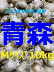 青森県産にんにく１０ｋｇ Ｍサイズ ニンニク１０キロ ホワイト６片種 訳あり