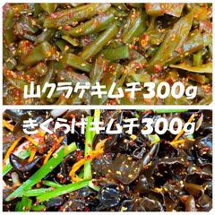 キムチ２点　山クラゲキムチ300ｇ　きくらげキムチ300ｇ