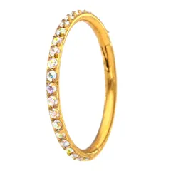 ボディピアス ジュエル付き リング ピアス セグメントリング (ゴールド・レインボー)(18G)(内径10mm)